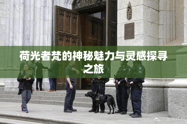 荷光者梵的神秘魅力与灵感探寻之旅