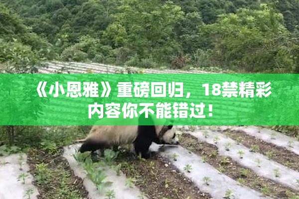 《小恩雅》重磅回归，18禁精彩内容你不能错过！
