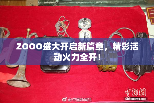 ZOOO盛大开启新篇章，精彩活动火力全开！