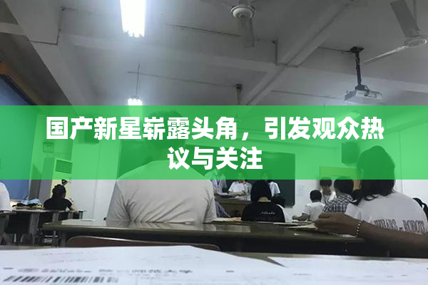 国产新星崭露头角，引发观众热议与关注