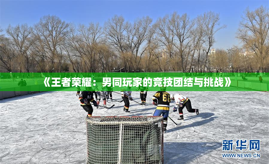 《王者荣耀：男同玩家的竞技团结与挑战》