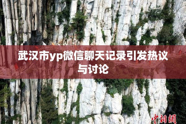 武汉市yp微信聊天记录引发热议与讨论