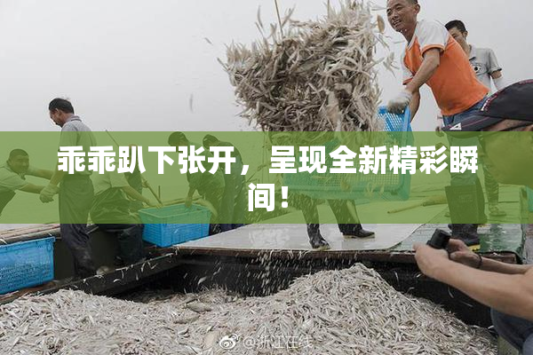 乖乖趴下张开，呈现全新精彩瞬间！