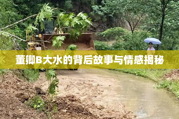 董卿B大水的背后故事与情感揭秘