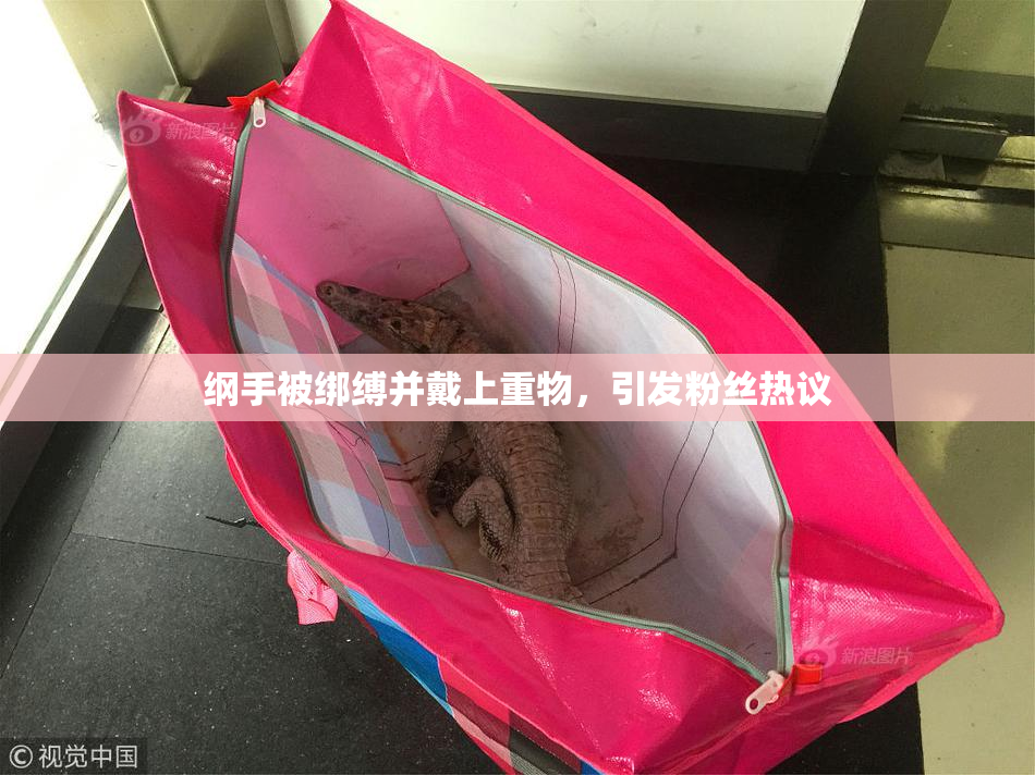 纲手被绑缚并戴上重物，引发粉丝热议