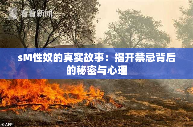 sM性奴的真实故事：揭开禁忌背后的秘密与心理
