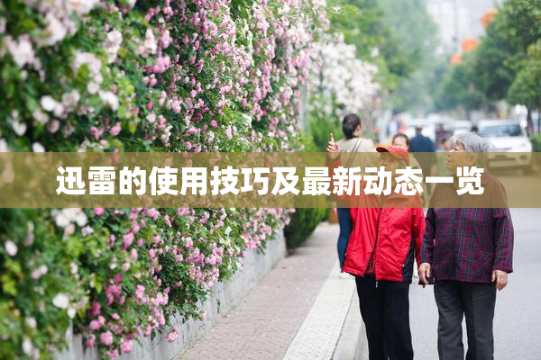 迅雷的使用技巧及最新动态一览