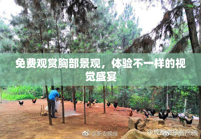 免费观赏胸部景观，体验不一样的视觉盛宴