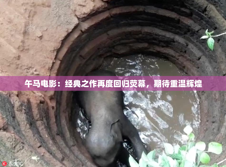 午马电影：经典之作再度回归荧幕，期待重温辉煌