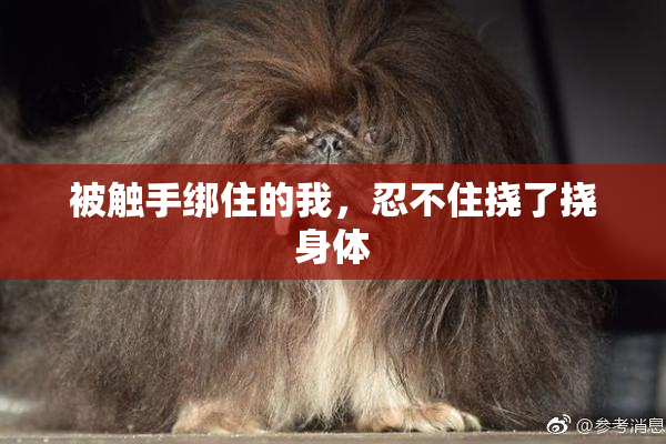 被触手绑住的我，忍不住挠了挠身体