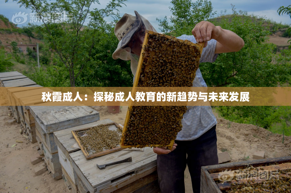 秋霞成人：探秘成人教育的新趋势与未来发展