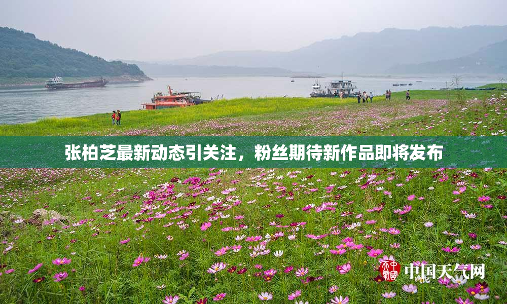 张柏芝最新动态引关注，粉丝期待新作品即将发布