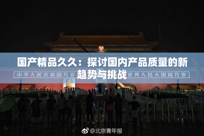 国产精品久久：探讨国内产品质量的新趋势与挑战