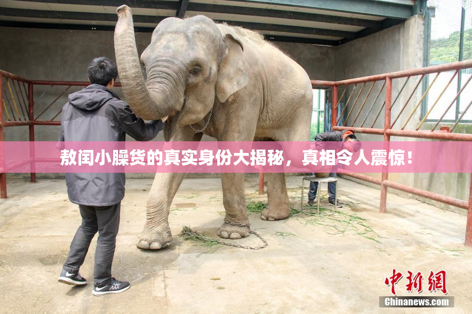 敖闰小臊货的真实身份大揭秘，真相令人震惊！