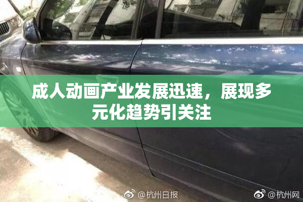 成人动画产业发展迅速，展现多元化趋势引关注