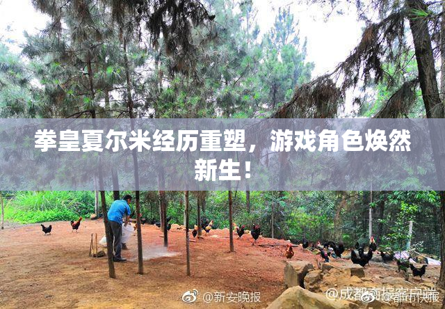 拳皇夏尔米经历重塑，游戏角色焕然新生！