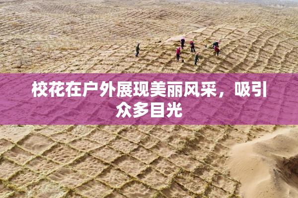 校花在户外展现美丽风采，吸引众多目光