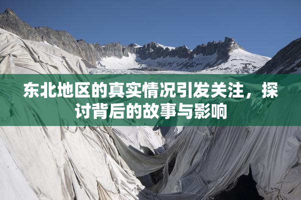 东北地区的真实情况引发关注，探讨背后的故事与影响