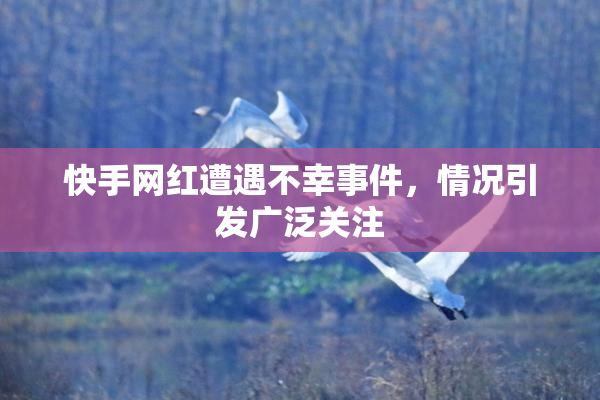 快手网红遭遇不幸事件，情况引发广泛关注