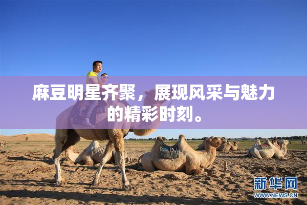 麻豆明星齐聚，展现风采与魅力的精彩时刻。