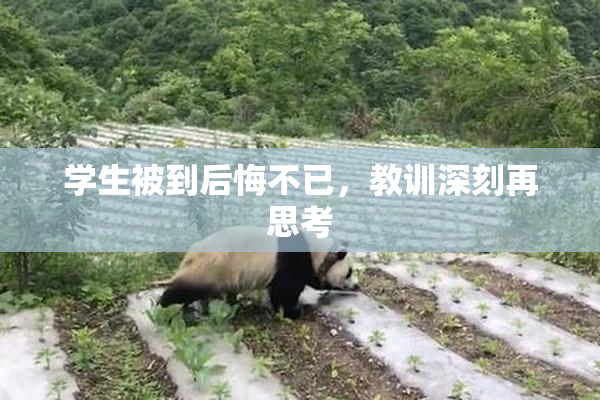 学生被到后悔不已，教训深刻再思考
