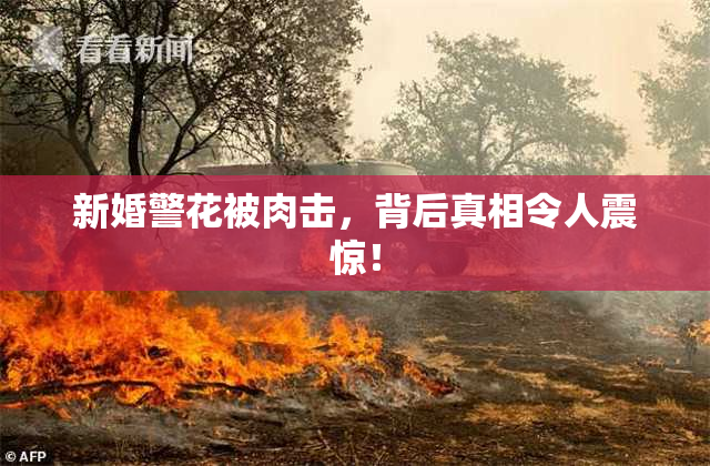 新婚警花被肉击，背后真相令人震惊！