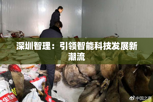 深圳智理：引领智能科技发展新潮流
