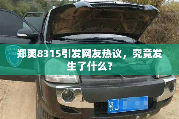 郑爽8315引发网友热议，究竟发生了什么？