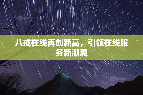 八戒在线再创新高，引领在线服务新潮流