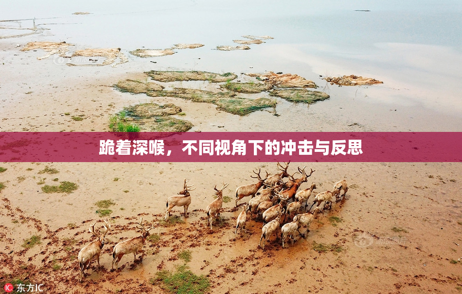 跪着深喉，不同视角下的冲击与反思