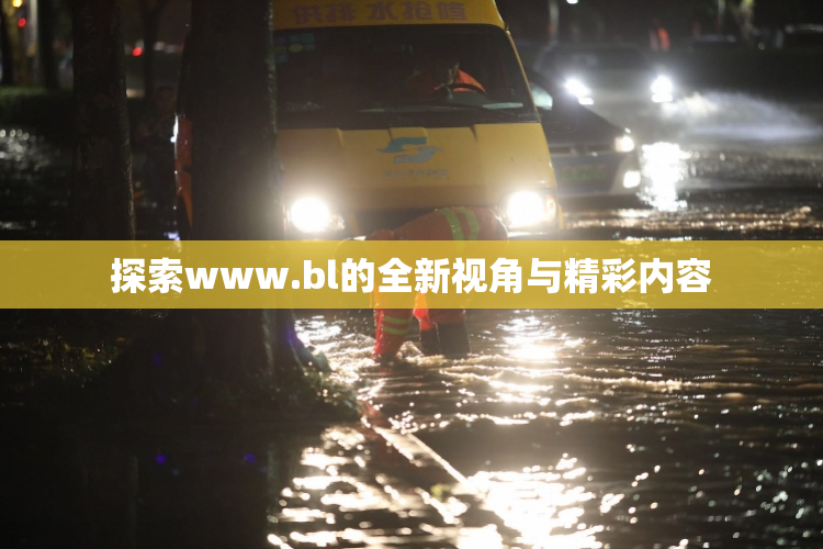 探索www.bl的全新视角与精彩内容