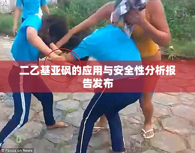 二乙基亚砜的应用与安全性分析报告发布