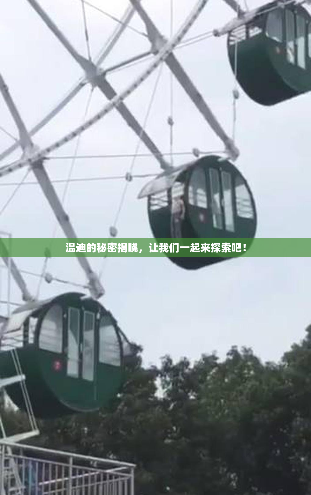 温迪的秘密揭晓，让我们一起来探索吧！
