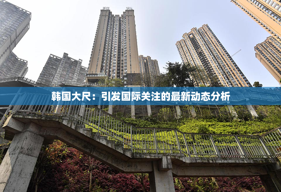 韩国大尺：引发国际关注的最新动态分析