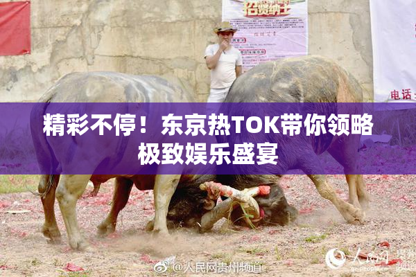 精彩不停！东京热TOK带你领略极致娱乐盛宴