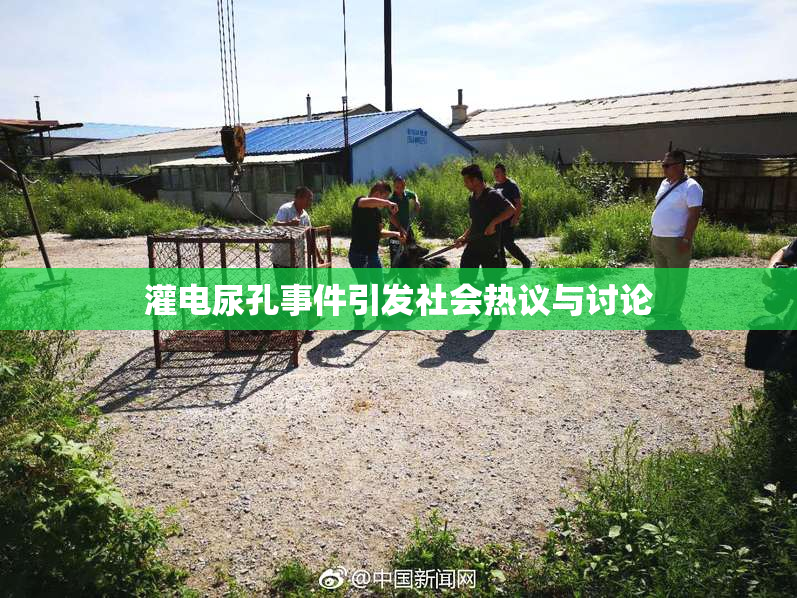 灌电尿孔事件引发社会热议与讨论