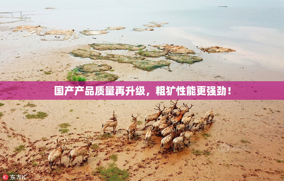 国产产品质量再升级，粗犷性能更强劲！