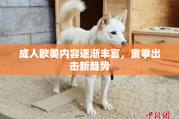 成人欧美内容逐渐丰富，重拳出击新趋势