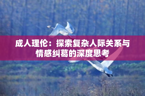 成人理伦：探索复杂人际关系与情感纠葛的深度思考