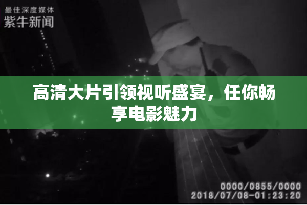 高清大片引领视听盛宴，任你畅享电影魅力