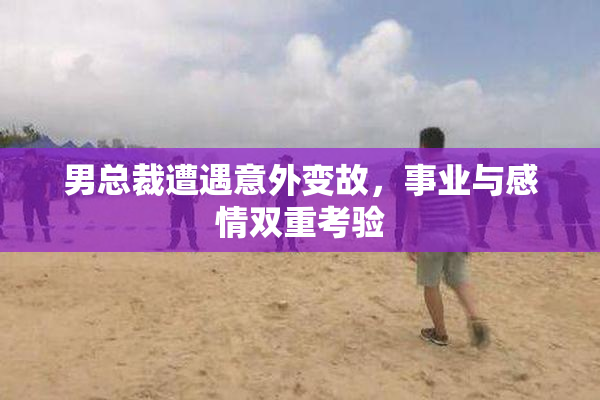 男总裁遭遇意外变故，事业与感情双重考验