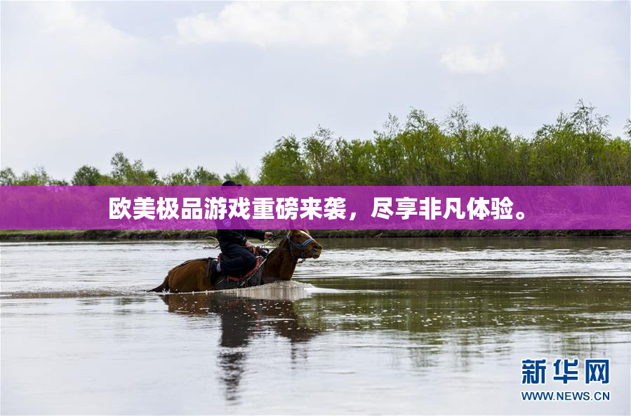 欧美极品游戏重磅来袭，尽享非凡体验。