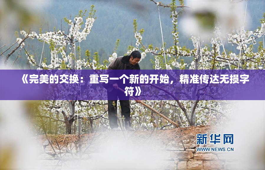 《完美的交换：重写一个新的开始，精准传达无损字符》