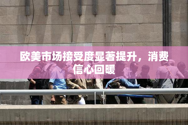 欧美市场接受度显著提升，消费信心回暖