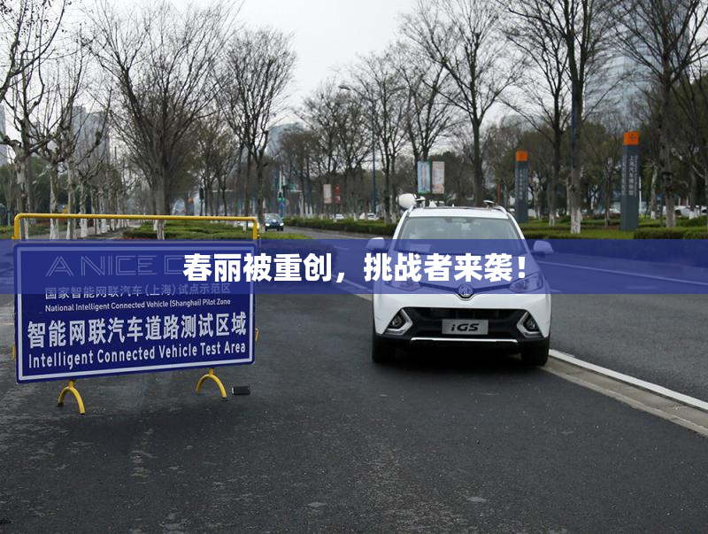 春丽被重创，挑战者来袭！