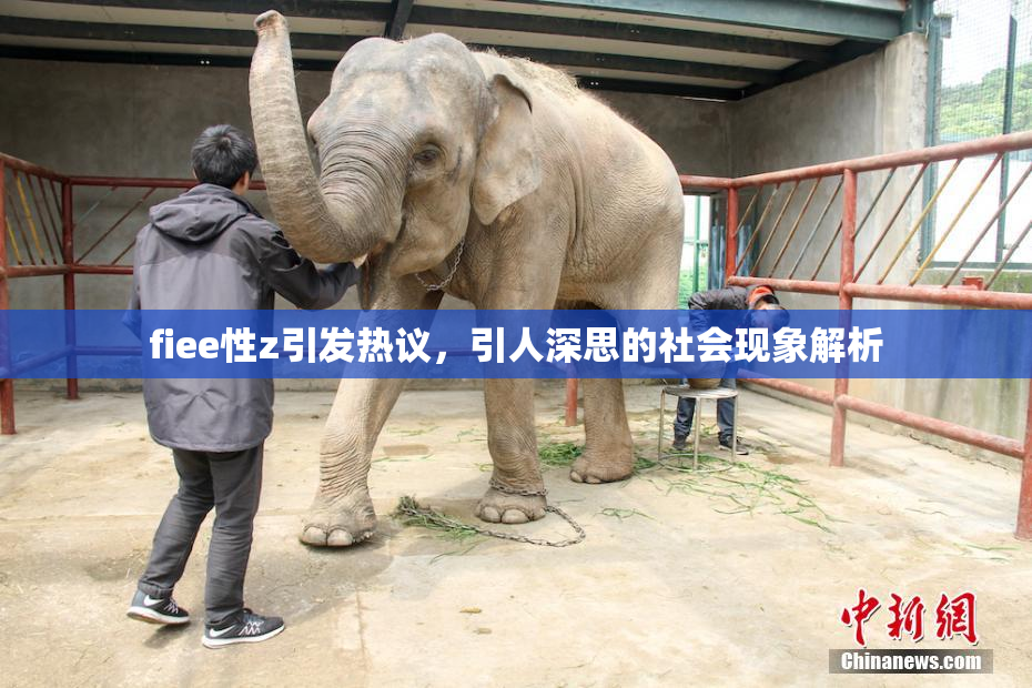fiee性z引发热议，引人深思的社会现象解析