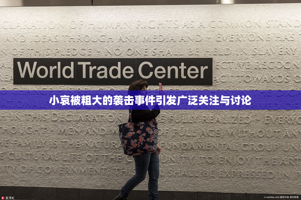 小哀被粗大的袭击事件引发广泛关注与讨论