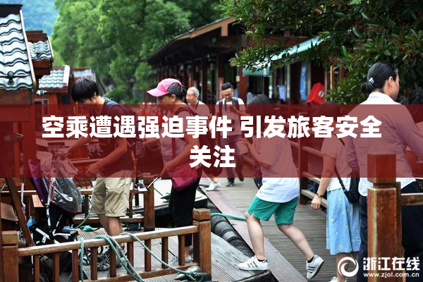 空乘遭遇强迫事件 引发旅客安全关注