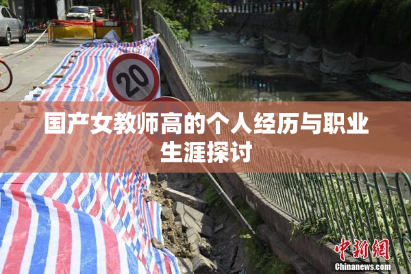 国产女教师高的个人经历与职业生涯探讨