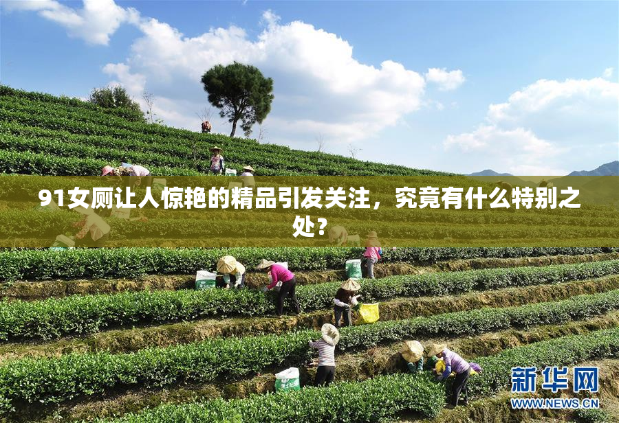 91女厕让人惊艳的精品引发关注，究竟有什么特别之处？